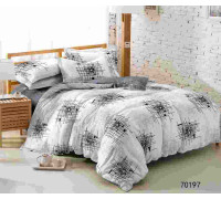 Поплин 220 пр-во Китай арт.123pl70197
