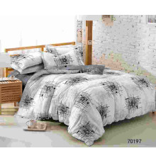 Поплин 220 пр-во Китай арт.123pl70197