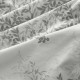 Ткань Перкаль 220 см наб 72211-1 Верона 